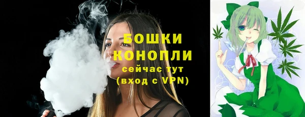 PSILOCYBIN Инсар