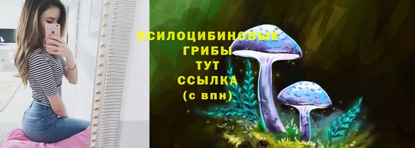 PSILOCYBIN Инсар