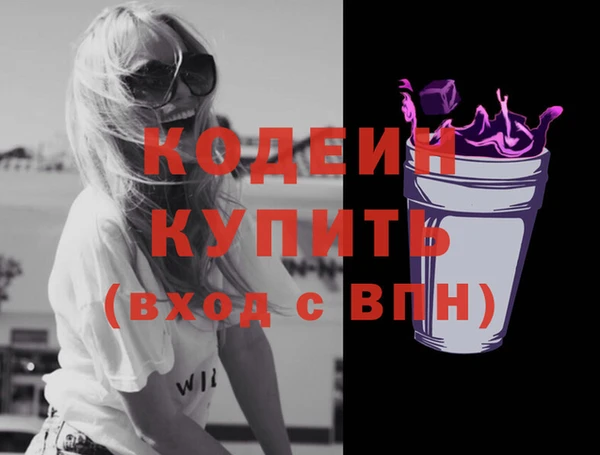 гашик Иннополис