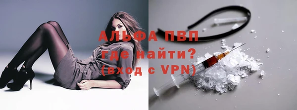 гашик Иннополис