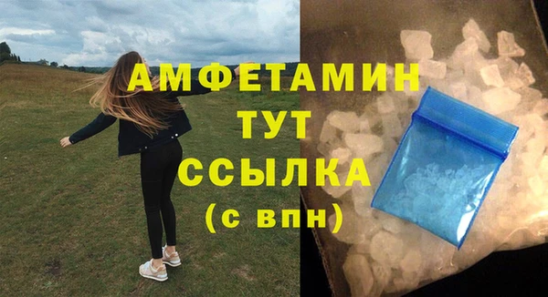 PSILOCYBIN Инсар