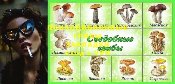 PSILOCYBIN Инсар