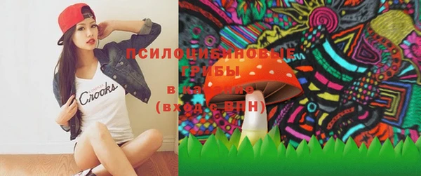 PSILOCYBIN Инсар
